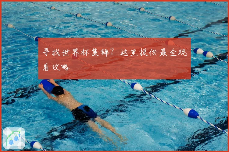 寻找世界杯集锦？这里提供最全观看攻略