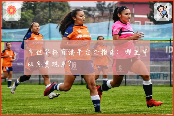 年世界杯直播平台全指南：哪里可以免费观看？