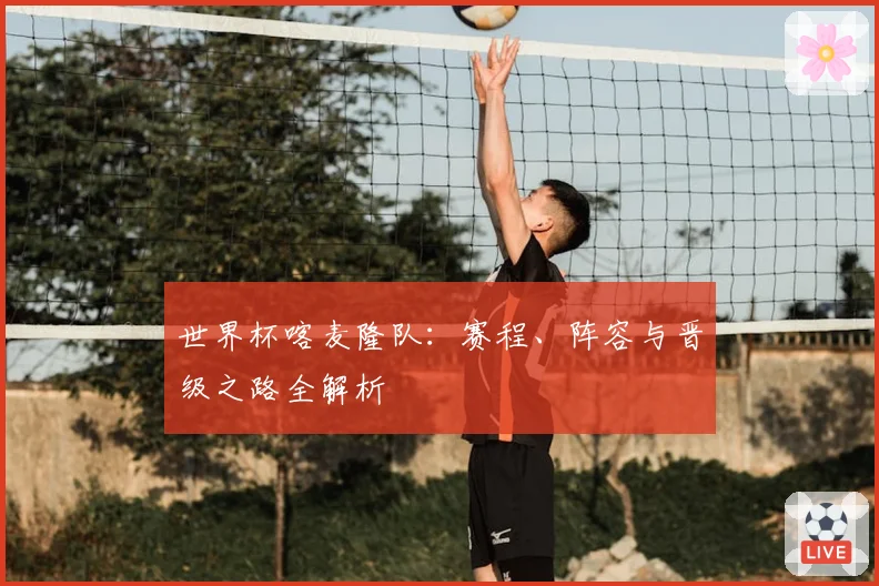 世界杯喀麦隆队：赛程、阵容与晋级之路全解析